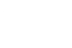 1-1-300x200-1-1